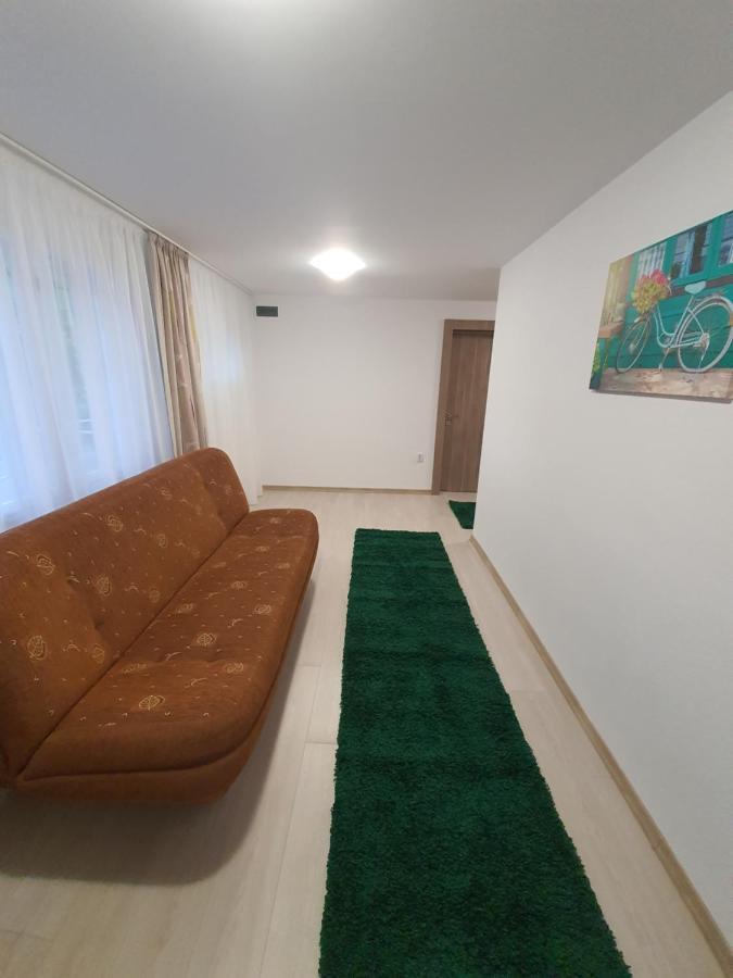ソバタCasa De Oaspeti Annaアパートメント エクステリア 写真